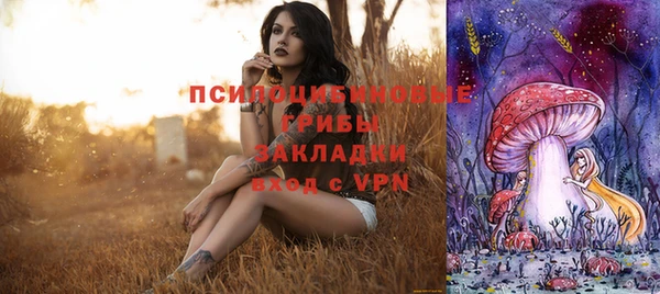 тгк Аркадак